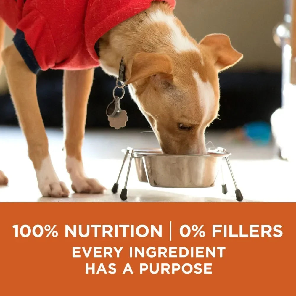 Healthy Weight Dog Food, Dry Formula, Feed Feeding, Dogs Snacks Supplies
