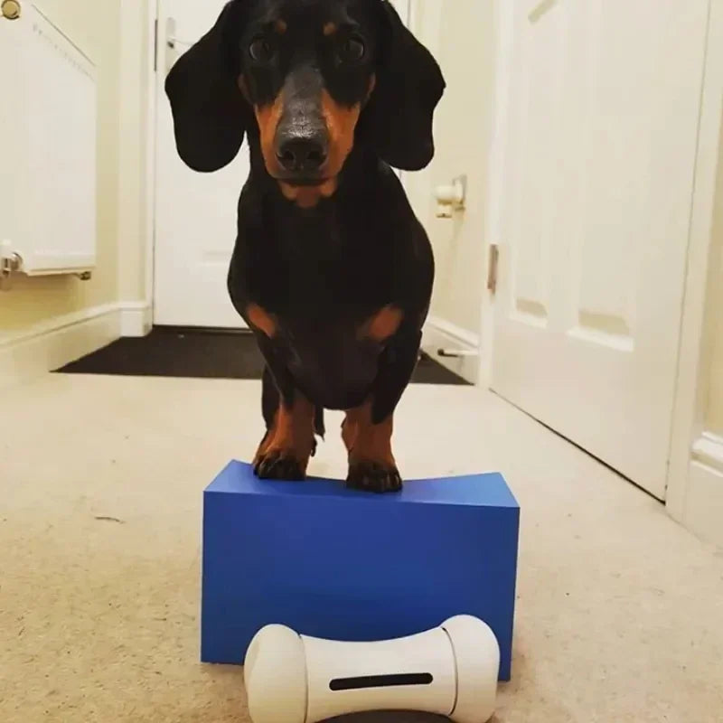 smart pet toy for smart dog toy girl and boy as dog chew bone