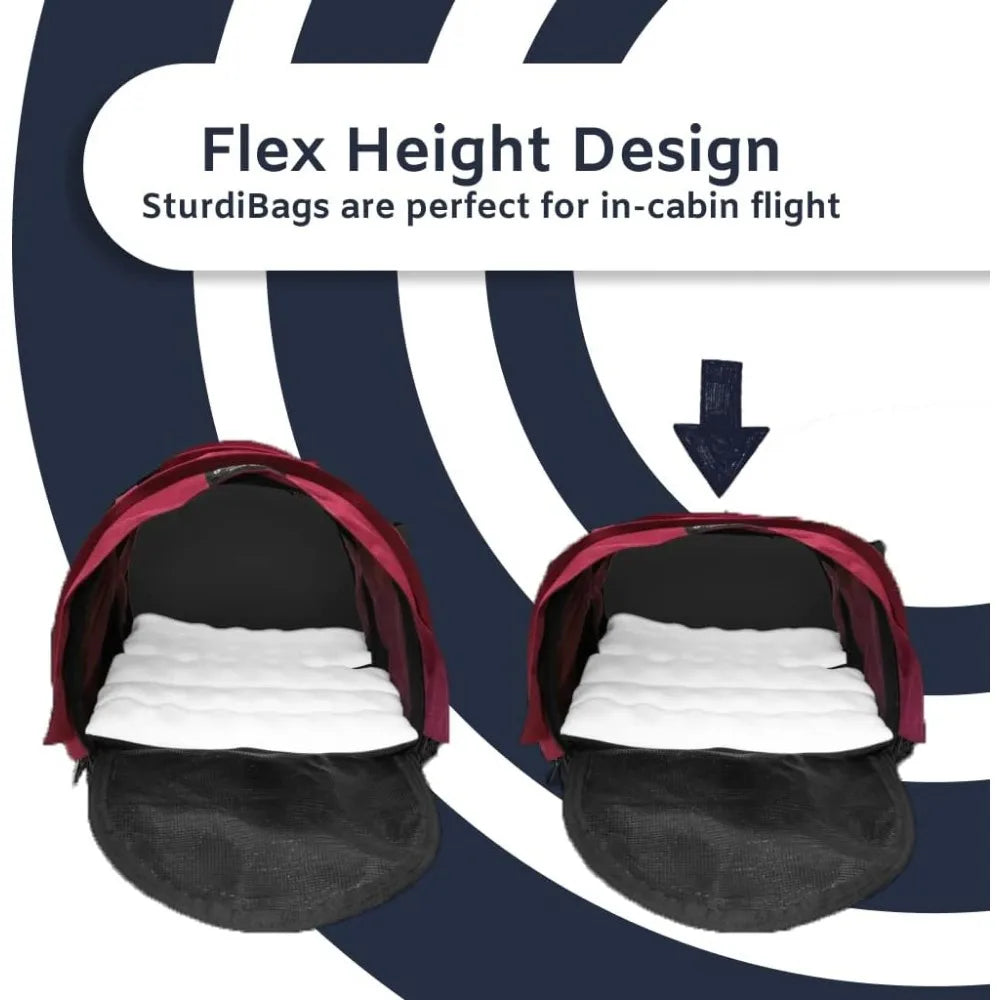 Large Pet Travel Carrier: Flexible Height for Cat and Dog Soft Sided with Safety Clips and Seatbelt Straps Black,18" x 12" x 12"