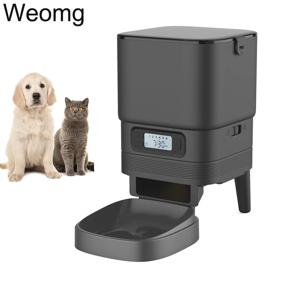2L Pet Feeder Timing Smart Automatic Pet Feeder For Cats Dog Button Intelligent Dry Food Dispenser Voice Recorder