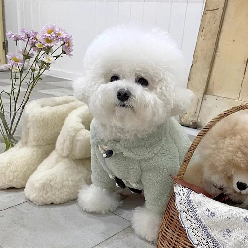 Winter Dog Clothes Pet Dog Warm Coat Kitten Puppy Costume Solid Dog Jacket Chihuahua French Bulldog Clothing for Dogs Pet Hoodie