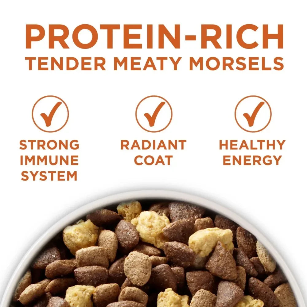 Healthy Weight Dog Food, Dry Formula, Feed Feeding, Dogs Snacks Supplies