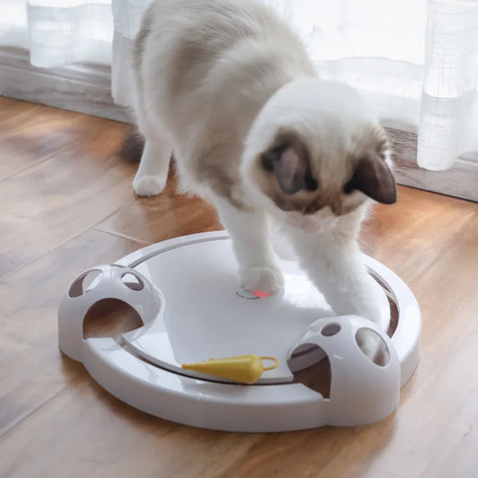 Interactive Cat Catching Mouse Toy, Rotate Electronic Rat, Teasing Kitten, Crazy Turntable, Adjustable Speed