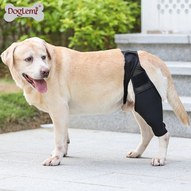 Pet Knee Pads For Hind Legs Injury Recover Legs Protector Dog Knee Brace Injuries Leg Brace Joint Wrap Dog Adjustable