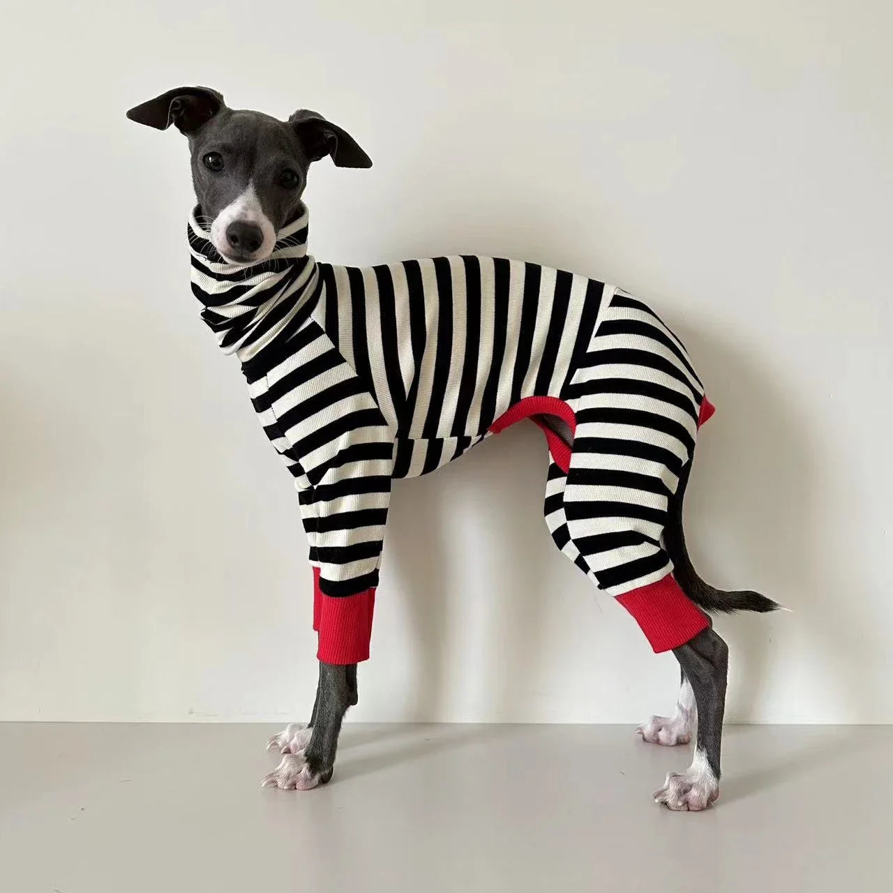 Four-Legged Stretchy Striped Whippet Dog Clothes, Suitable for Small, Medium and Large Dogs, Italian Greyhound, Winter