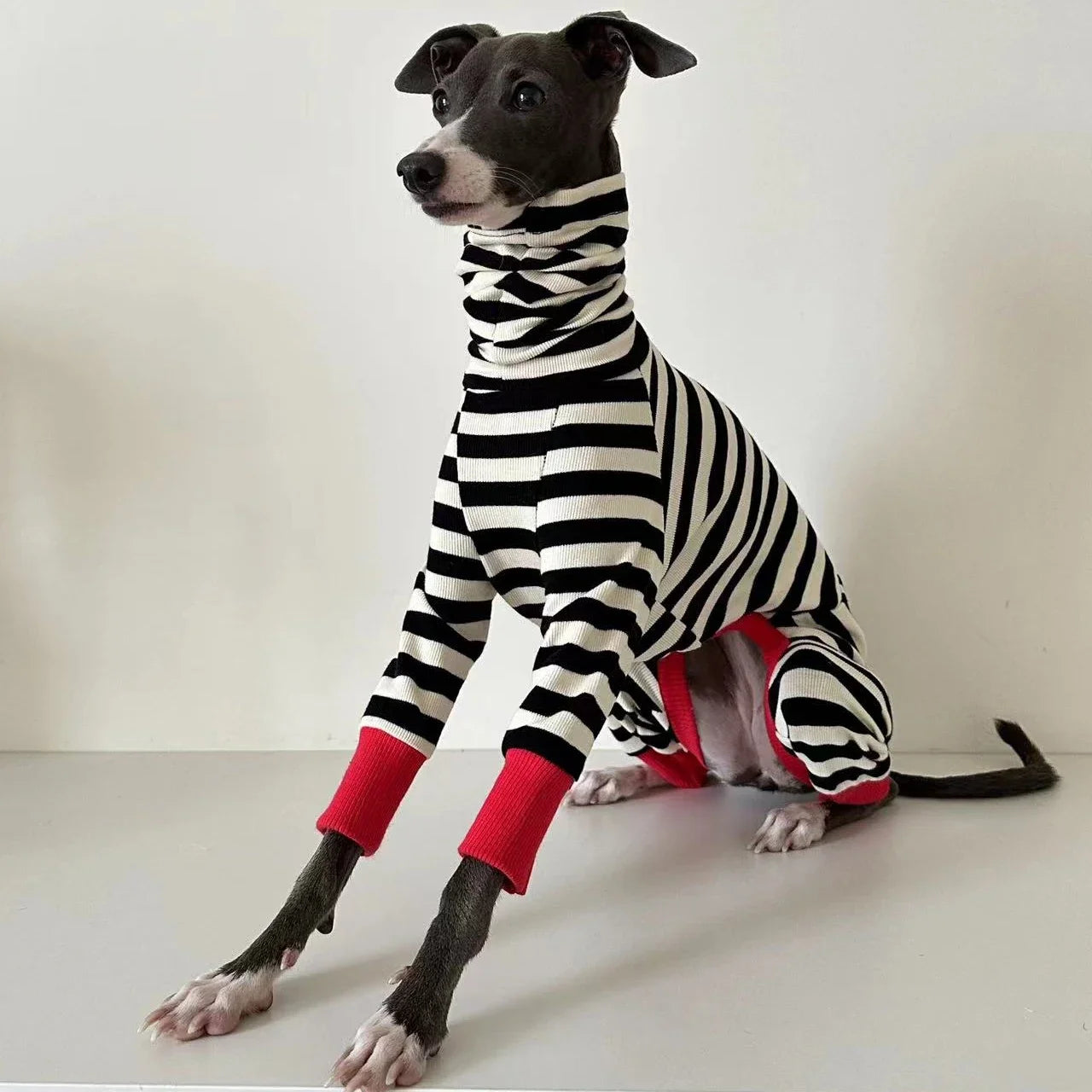 Four-Legged Stretchy Striped Whippet Dog Clothes, Suitable for Small, Medium and Large Dogs, Italian Greyhound, Winter