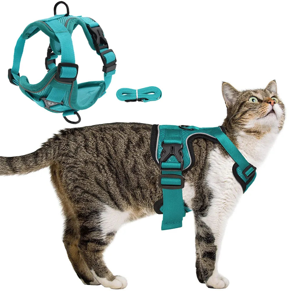 Dog Cat Harness Escape Proof Breathable Leash for Walking Outdoor Easy Control Reflective Harness - Whisker and Waggers