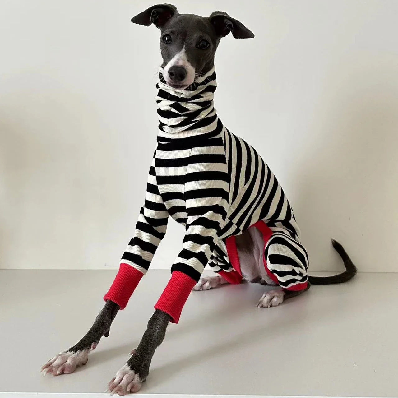 Four-Legged Stretchy Striped Whippet Dog Clothes, Suitable for Small, Medium and Large Dogs, Italian Greyhound, Winter