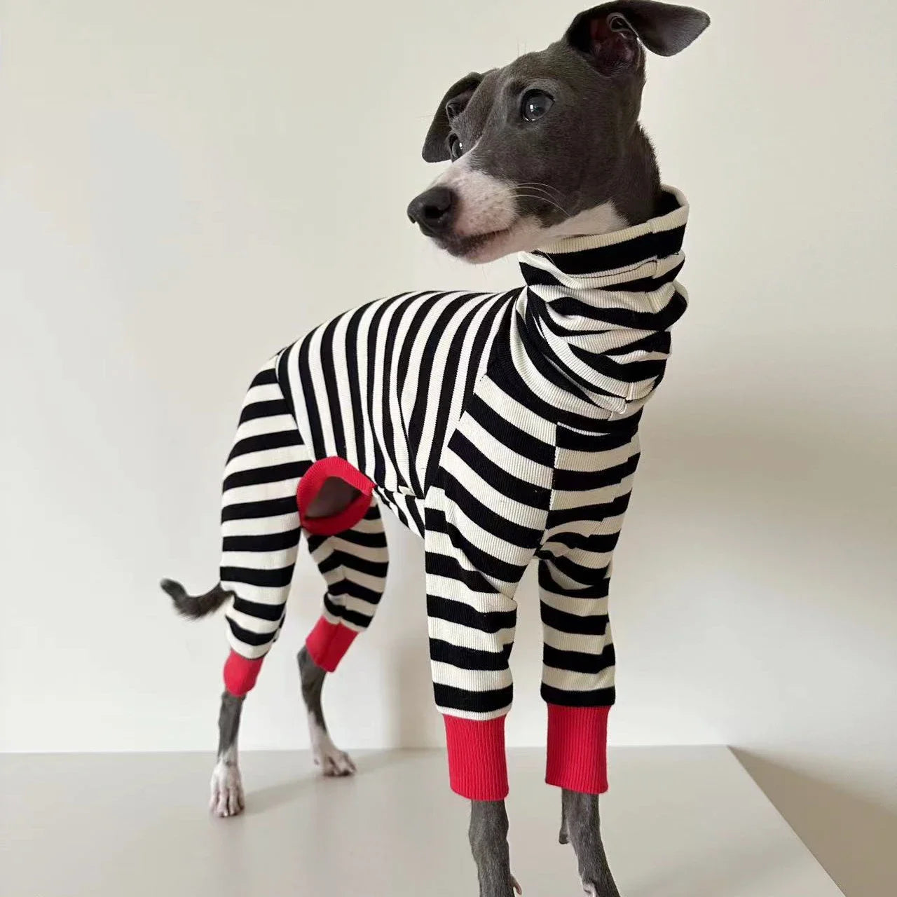 Four-Legged Stretchy Striped Whippet Dog Clothes, Suitable for Small, Medium and Large Dogs, Italian Greyhound, Winter