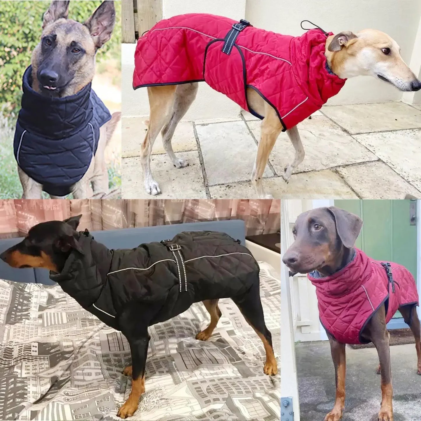 Dog Outdoor Jacket Waterproof Reflective Pet Coat Vest Winter Warm Cotton Clothing for Large Middle Dogs