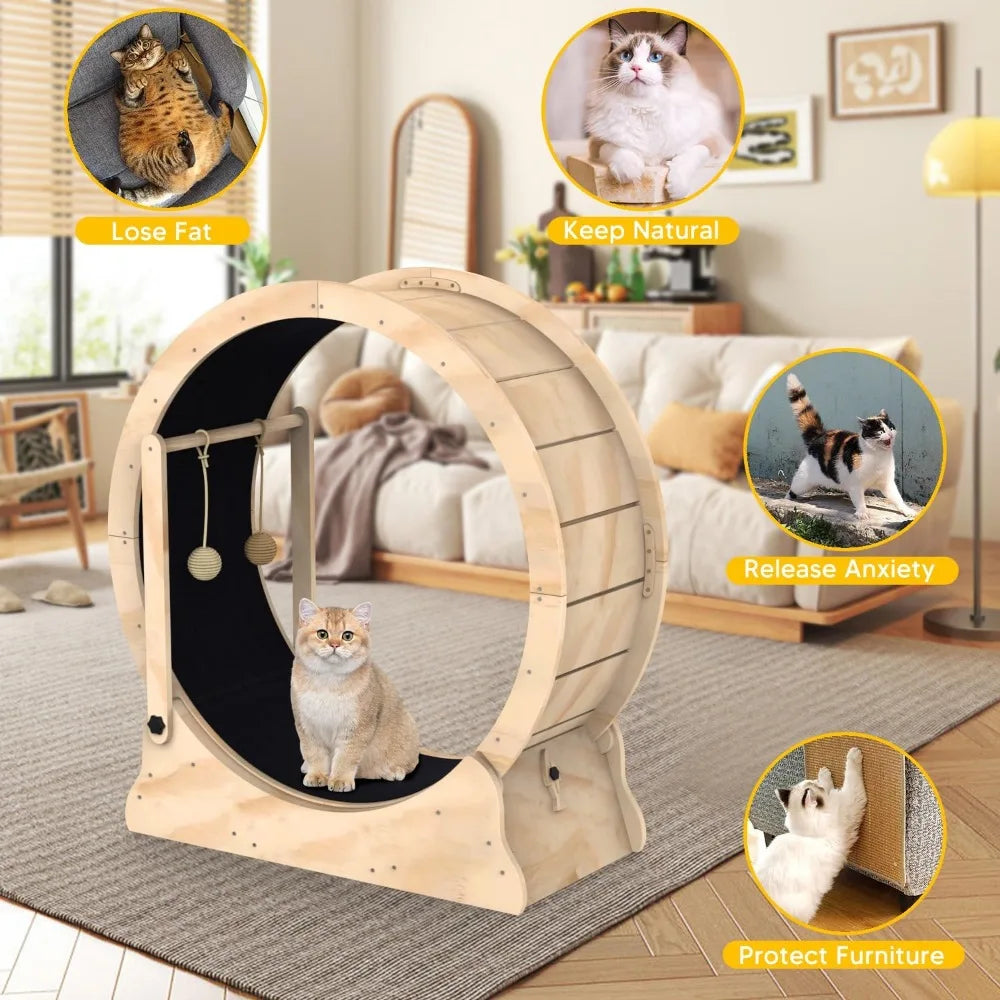 Toys for Cats Cat Running Wheel Treadmill With Carpeted Runway and Cat Teaser Pet Toy Accessories