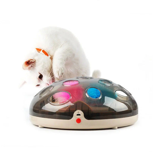 Interactive Electric Turntable Funny Pet Toys For Cats Feather Teaser Rechargeable Maglev Bouncing Catching Kat Game Complexes