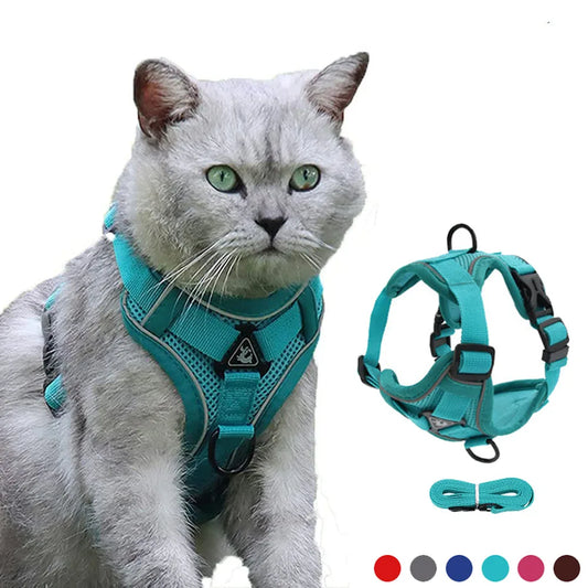 Dog Cat Harness Escape Proof Breathable Leash for Walking Outdoor Easy Control Reflective Harness - Whisker and Waggers