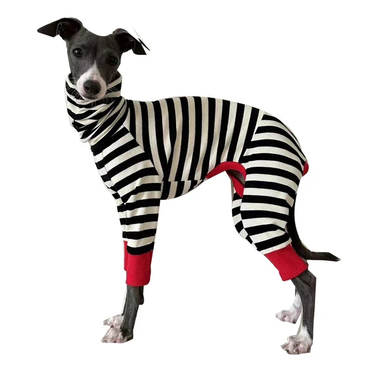 Four-Legged Stretchy Striped Whippet Dog Clothes, Suitable for Small, Medium and Large Dogs, Italian Greyhound, Winter