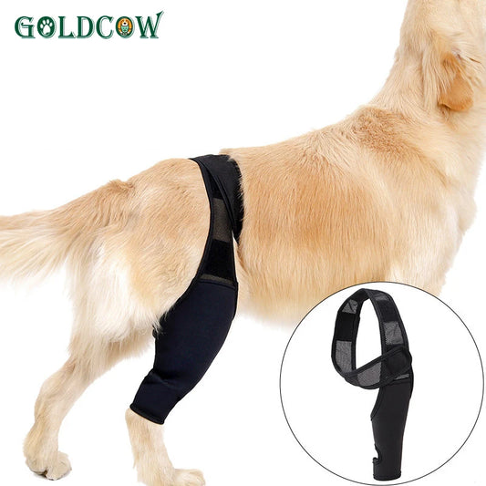 Pet Knee Pads For Hind Legs Injury Recover Legs Protector Dog Knee Brace Injuries Leg Brace Joint Wrap Dog Adjustable