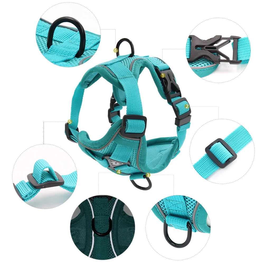 Dog Cat Harness Escape Proof Breathable Leash for Walking Outdoor Easy Control Reflective Harness - Whisker and Waggers